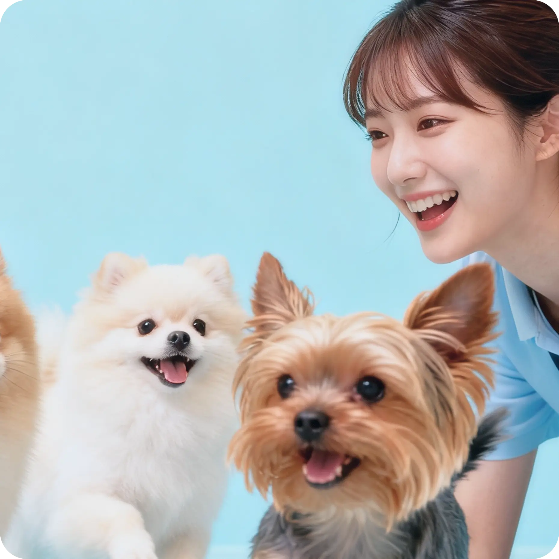 Pets Tokyo staff representing the organization culture
