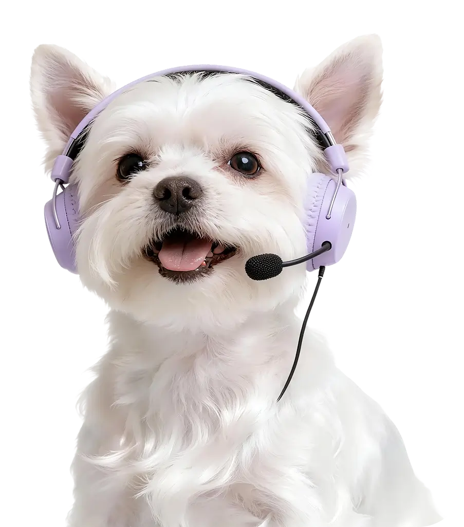 Dog photo introducing the Pets Tokyo contact form
