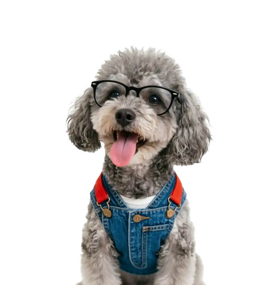 Pets Tokyo hospital dog