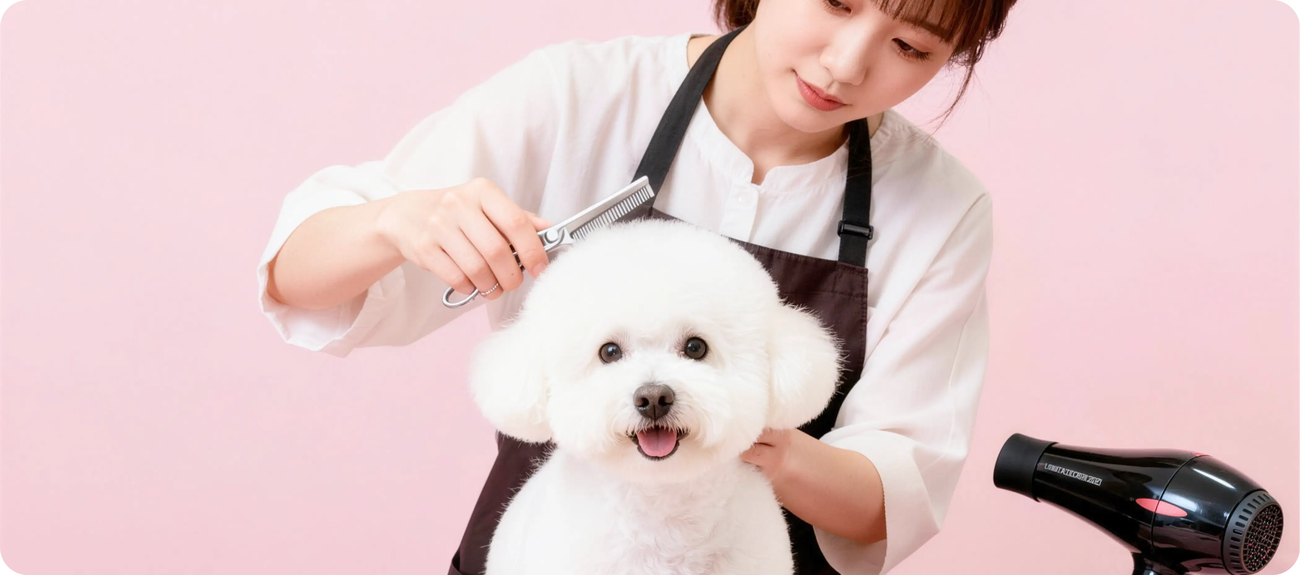 Dog being groomed